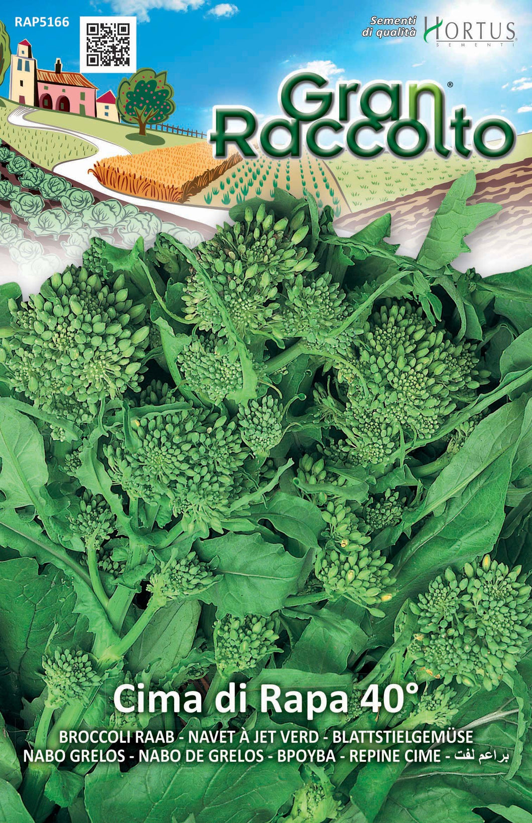 Hortus 45RAP5166 Gran Raccolto Cima di Rapa Quarantina, Testa 13x0.4x20 cm - Ilgrandebazar