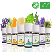 Carica l&#39;immagine nel visualizzatore di Gallery, OLI ESSENZIALI BIOLOGICI di Lavanda, Eucalipto, Menta Piperita, Limone,... - Ilgrandebazar