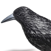 Carica l&#39;immagine nel visualizzatore di Gallery, Blossom Design Corvo Scacciapiccioni 2a Generazione Spaventapasseri Big, nero - Ilgrandebazar