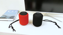 Carica l&#39;immagine nel visualizzatore di Gallery, Tronsmart T6 Mini Cassa Bluetooth 15W, 24 Ore Riproduzione, Audio Stereo Nero