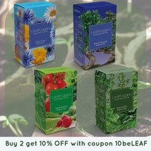 Carica l&#39;immagine nel visualizzatore di Gallery, Kit Semi Peperoncino Peperoni Piccante Set Di Coltivare Peperoncini... - Ilgrandebazar