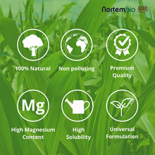 Carica l&#39;immagine nel visualizzatore di Gallery, NortemBio Agro Solfato di Magnesio Naturale 700 g. Uso Universale. 700 g - Ilgrandebazar