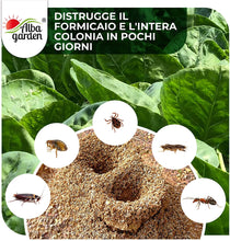 Carica l&#39;immagine nel visualizzatore di Gallery, 4