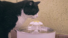 Carica l'immagine nel visualizzatore di Gallery, Aerb Fontanella per gatti, fontana cani: Animale domestico Gatti Fontane...