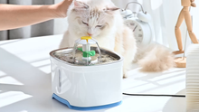 Carica l'immagine nel visualizzatore di Gallery, RIOGOO Fontana per Animali Domestici, Pompa di spegnimento Automatico 84oz /... - Ilgrandebazar