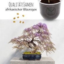 Carica l&#39;immagine nel visualizzatore di Gallery, GROW2GO Bonsai Kit incl. eBook GRATUITO - Starter Set con mini Wisteria - Ilgrandebazar