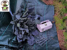 Carica l&#39;immagine nel visualizzatore di Gallery, TOP GARDEN  Picchetti Telo PACCIAMATURA e per Pacciamatura, 100... - Ilgrandebazar