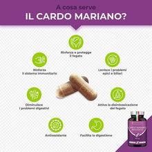 Carica l'immagine nel visualizzatore di Gallery, 1
