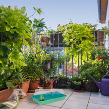 Carica l&#39;immagine nel visualizzatore di Gallery, Relaxdays Mini Serra per 24 Piante, con Coperchio, Semenzaio, Verde