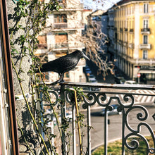 Carica l&#39;immagine nel visualizzatore di Gallery, Blossom Design Corvo Scacciapiccioni 2a Generazione Spaventapasseri Big, nero - Ilgrandebazar