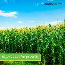 Carica l&#39;immagine nel visualizzatore di Gallery, NortemBio Agro Solfato di Magnesio Naturale 700 g. Uso Universale. 700 g - Ilgrandebazar