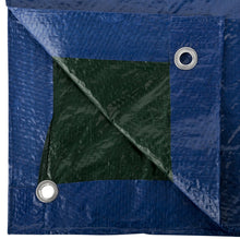Carica l&#39;immagine nel visualizzatore di Gallery, GardenMate 2m x 3m Telone in tessuto UNIVERSAL 90g/m2 x 3m, blu/verde
