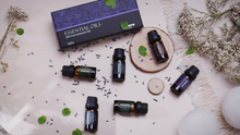Carica l'immagine nel visualizzatore di Gallery, VicTsing Oli Essenziali, 6 * 10ml Set di Essenziali Puri 100% per Marrone