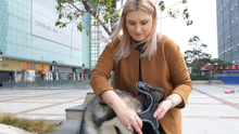 Carica l'immagine nel visualizzatore di Gallery, morpilot Pettorina Regolabile per Cani, L (Collo: 35-58cm,Torace: 53-81cm)