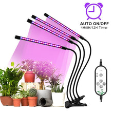 Carica l'immagine nel visualizzatore di Gallery, LED Grow Light USB Phyto Lamp Full Spectrum 4 Head Grow Tent Complete Kit Phytolamp for Plants Seedlings Flowers Indoor Grow Box