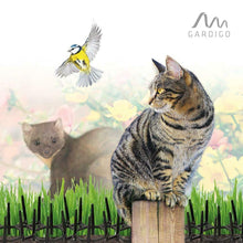 Carica l&#39;immagine nel visualizzatore di Gallery, Gardigo Dissuasori per volatili anti piccioni, uccelli, gatti, cani | Set di...