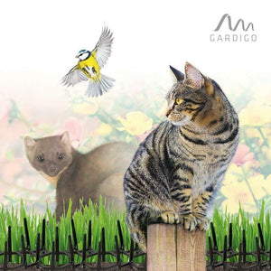 Gardigo Dissuasori per volatili anti piccioni, uccelli, gatti, cani | Set di...