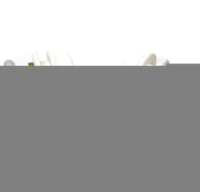 Carica l'immagine nel visualizzatore di Gallery, Rullo Doccia Rulli Cuscinetti Box per HS062 26mm