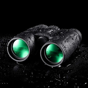 Binocolo Professionali, 10x42 ad alta Potenza di Ingrandimento Binocoli,...
