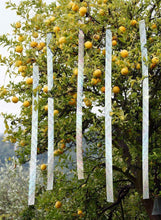 Carica l'immagine nel visualizzatore di Gallery, De-Bird - Nastro repellente antiuccelli - superficie olografica riflettente...