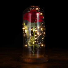 Carica l'immagine nel visualizzatore di Gallery, LEDMOMO Rosa di seta con luce a LED in cupola vetro su base legno per...