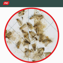 Carica l&#39;immagine nel visualizzatore di Gallery, 6 x Trappole antitarme per dispense e armadi, Colla per farfalline cibo alimenti