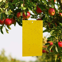 Carica l'immagine nel visualizzatore di Gallery, 30x Fogli per insetti volanti Trappole adesive da appendere vicino alberi frutta