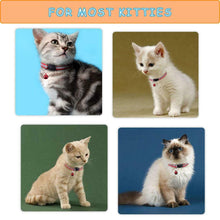 Carica l'immagine nel visualizzatore di Gallery, win.max Collare per Gatti, Collari Gattini con Sonaglio, Regolabile e...