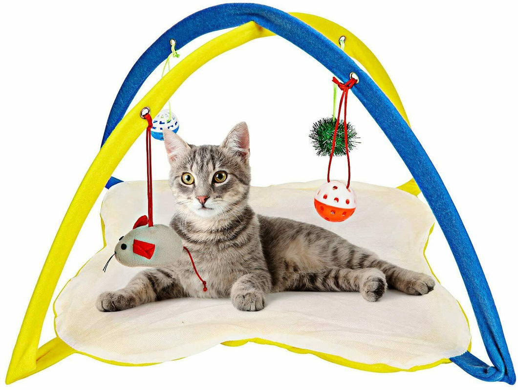 Giochi Per Gatti In Casa - Accessori - 3 Palline Gatti, Mouse...