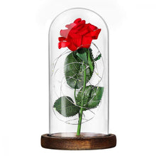 Carica l'immagine nel visualizzatore di Gallery, LEDMOMO Rosa di seta con luce a LED in cupola vetro su base legno per...