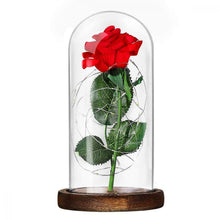 Carica l&#39;immagine nel visualizzatore di Gallery, LEDMOMO Rosa di seta con luce a LED in cupola vetro su base legno per...
