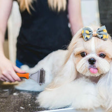 Carica l'immagine nel visualizzatore di Gallery, Pettine per animali domestici, Spazzola per cani e gatti, Lame in acciaio inox