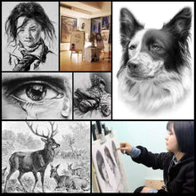 Carica l'immagine nel visualizzatore di Gallery, MEIRUIER 29 Pezzi Set da Disegno Matite Grafite Carboncino Penne Gomme 29pcs