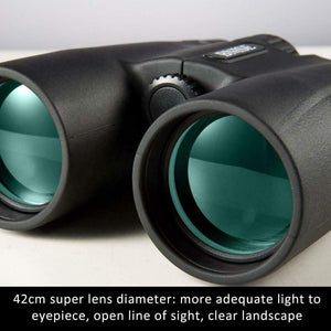 Binocolo Professionali, 10x42 ad alta Potenza di Ingrandimento Binocoli,...