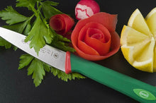 Carica l'immagine nel visualizzatore di Gallery, Sanelli Premana Professional Coltello Spelucchino, Acciaio Inossidabile, 10 cm