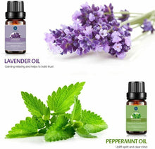 Carica l&#39;immagine nel visualizzatore di Gallery, Set di Oli Essenziali Puri con 6 Oli per l’Aromaterapia, 100% Puri, 10 ml ognuno