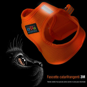 Pettorina Gatti Cani Guinzaglio Imbracatura Collare Antifuga Regolabile Riflette