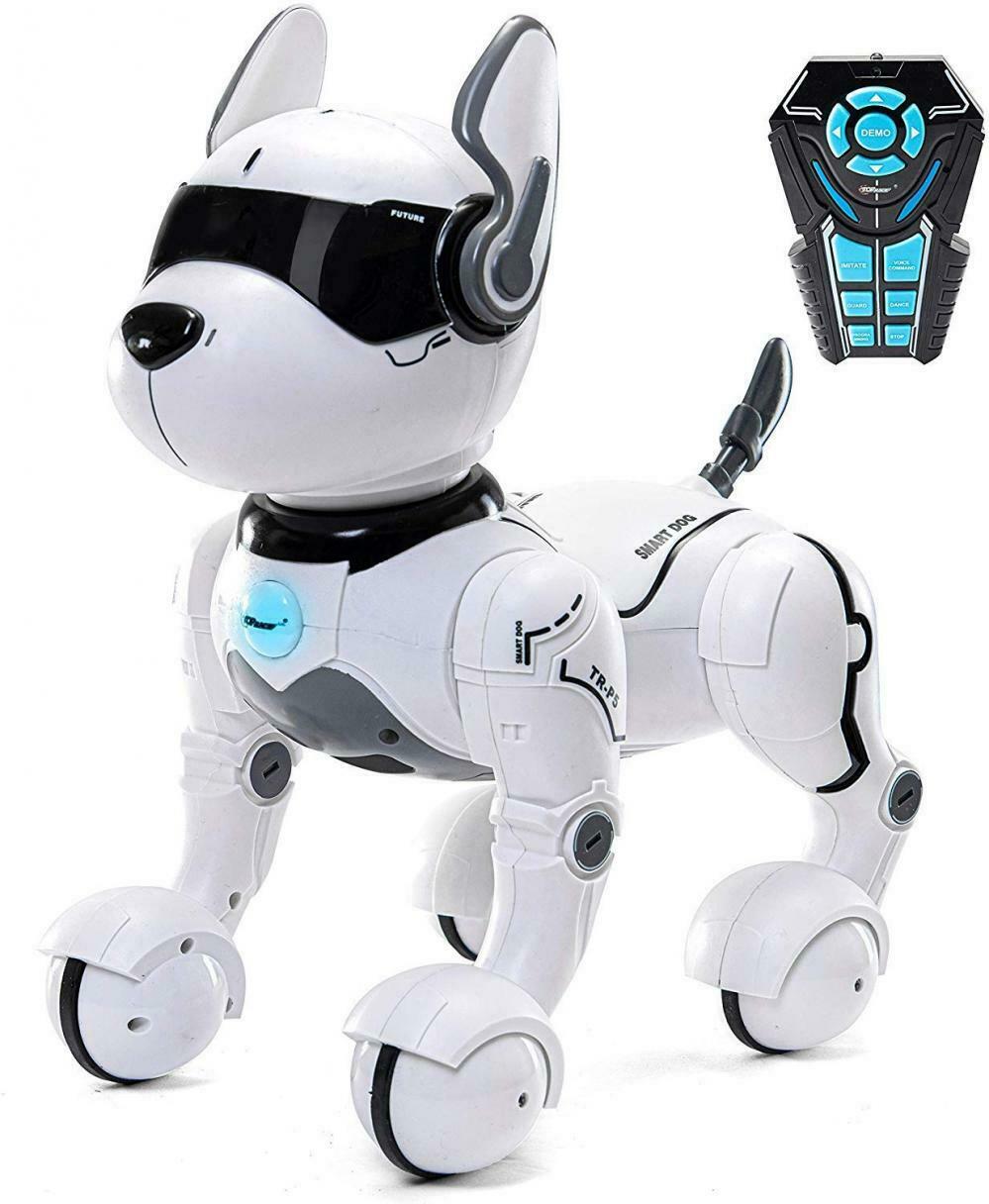 Giocattolo per cane robot telecomandato, Robot bambini, Giocattoli per...