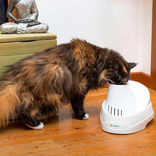 Carica l'immagine nel visualizzatore di Gallery, Ferplast Fontanella Automatica, Cani e Gatti di Piccola Taglia Vega...