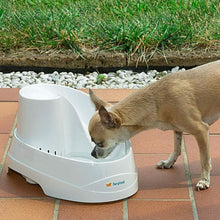 Carica l'immagine nel visualizzatore di Gallery, Ferplast Fontanella Automatica, Cani e Gatti di Piccola Taglia Vega...