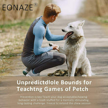 Carica l&#39;immagine nel visualizzatore di Gallery, EONAZE Sniffing Tappeto per Cani Tappetino Olfattivo Cane Lavabile Feeding...