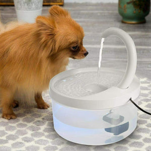 Shaying Dispenser d'Acqua per Animali Domestici Fontanella Gatti 67oz /...