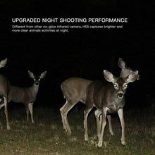 Carica l&#39;immagine nel visualizzatore di Gallery, APEMAN Fototrappola 20MP 1080P, Videocamera con rilevazione Notturna Senza...