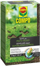 Carica l'immagine nel visualizzatore di Gallery, Miscela Speciale di semi per prato veloce, Rapida crescita, Compo 1 kg rigenera