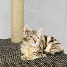 Carica l'immagine nel visualizzatore di Gallery, 50 metri di corda, in sisal naturale, anche per albero tiragraffi per gatto