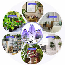 Carica l&#39;immagine nel visualizzatore di Gallery, infinitoo Lampada per Piante, Grow Light Lampade LED Piante Infinitoo-a