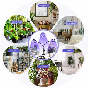 infinitoo Lampada per Piante, Grow Light Lampade LED Piante Infinitoo-a