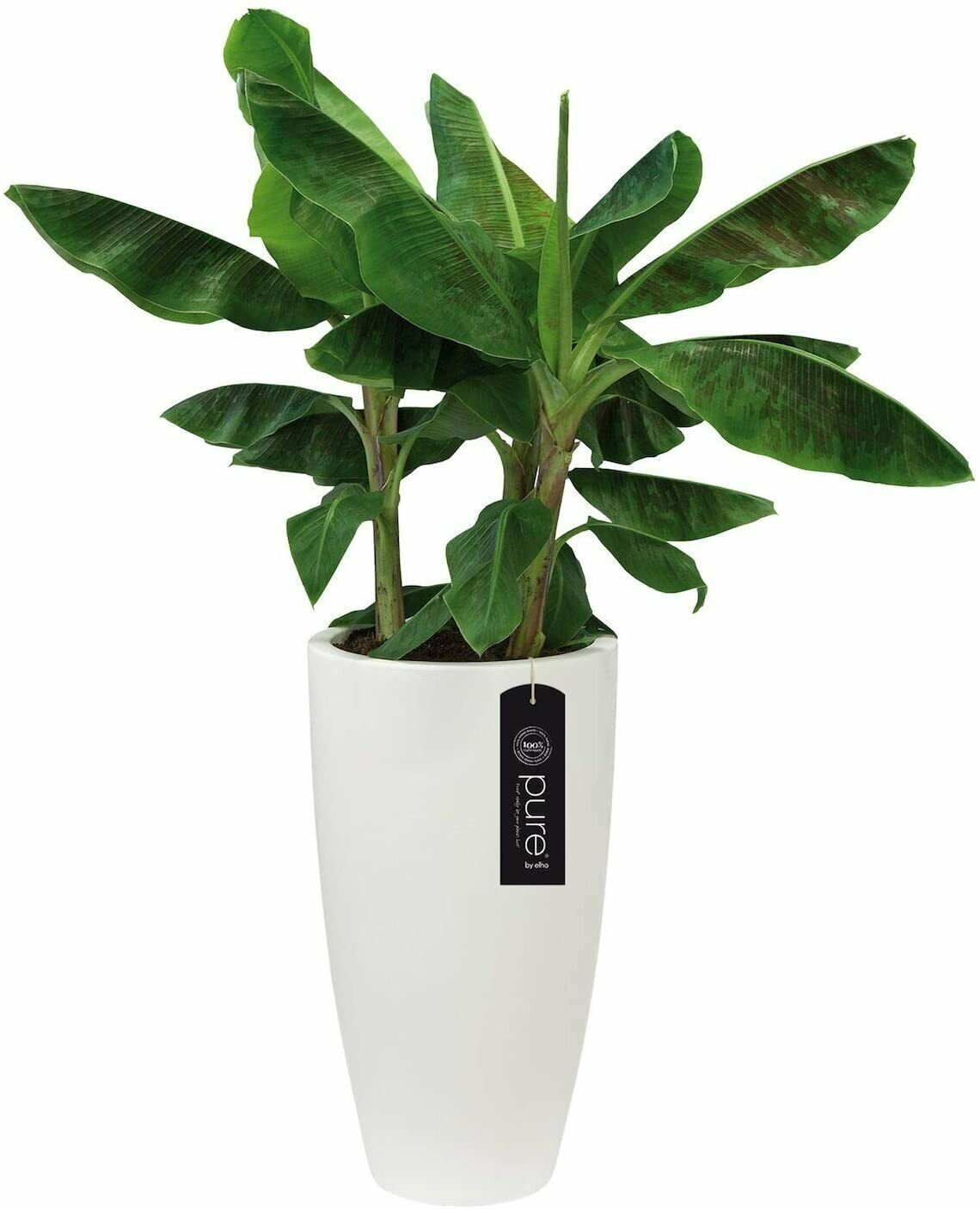 Vaso da esterno 80x40 cm in plastica bianco riserva d'acqua con sottovaso e distanziali