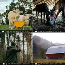 Carica l&#39;immagine nel visualizzatore di Gallery, APEMAN Fototrappola 20MP 1080P, Videocamera con rilevazione Notturna Senza...