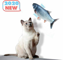 Carica l'immagine nel visualizzatore di Gallery, Dioxide Catnip Giocattoli per Gatti, Elettrici Pesci, B